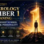 Number 1 Numerology