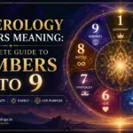 Numerology Numbers Meaning